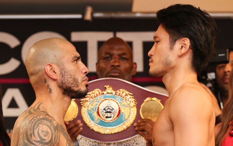 Previa: Cotto vs Kamegai