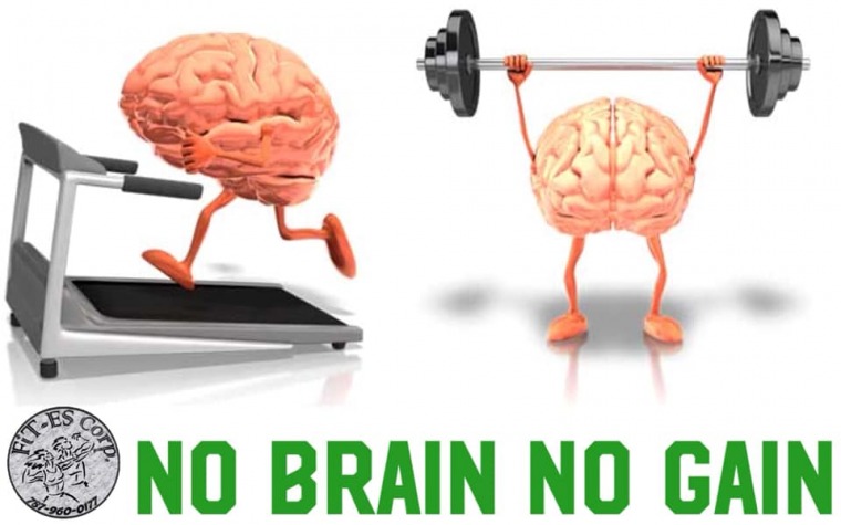 'No Brain, No Gain'