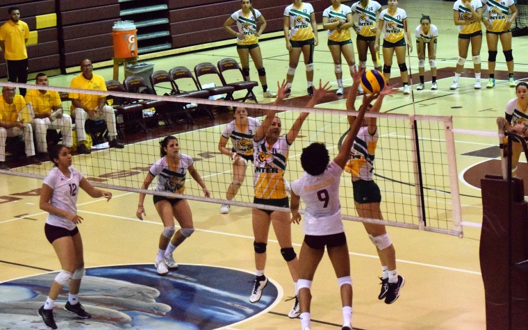 Las Delfines de Sagrado vuelven a la final de voleibol LAI