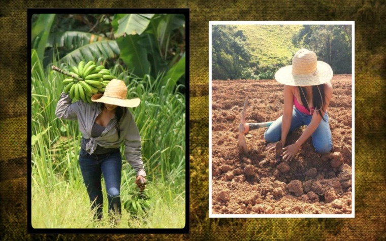 Agro Fitness: Stephanie suda, siembra y cosecha