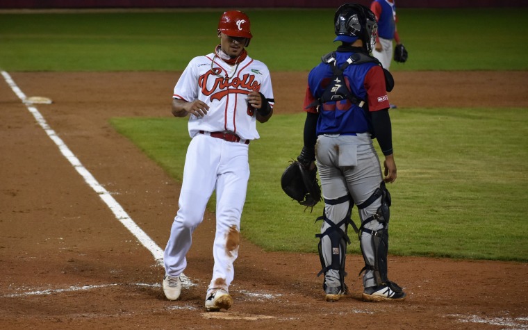 Entra pelotero roster 40 Cubs con Criollos