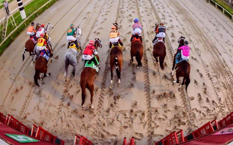 $20 pesos por carrera pa' jinetes Hipódromo Camarero