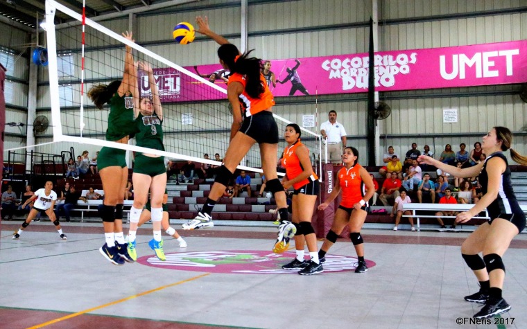 LAIVoleibol: Cerró el 2017